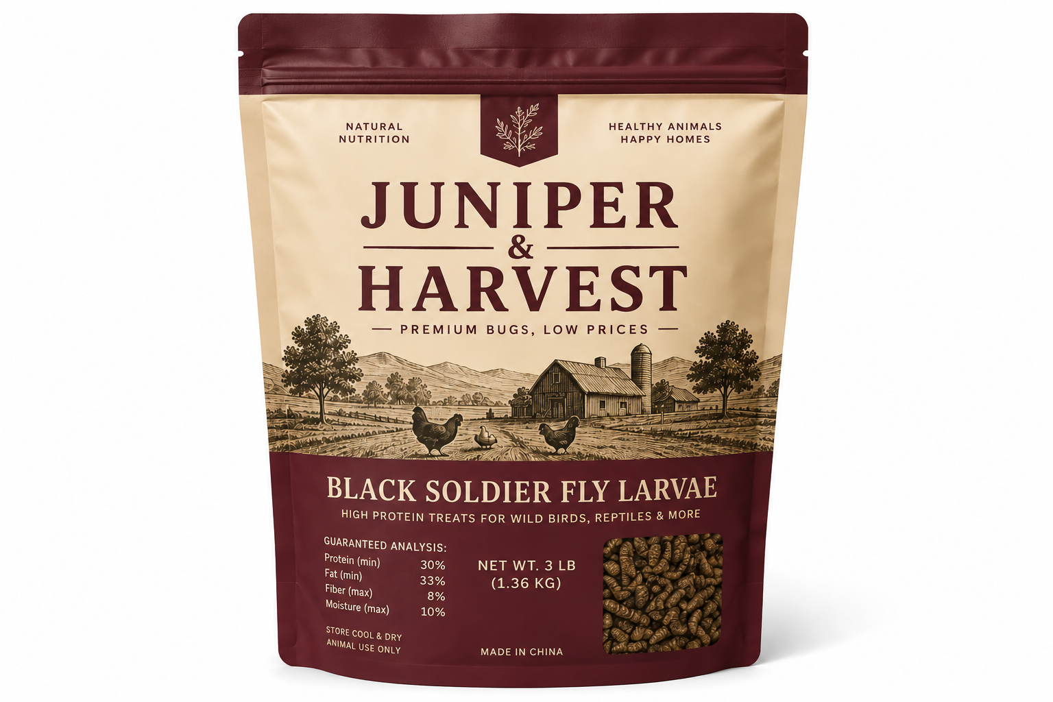 Black Soldier Fly Larvae